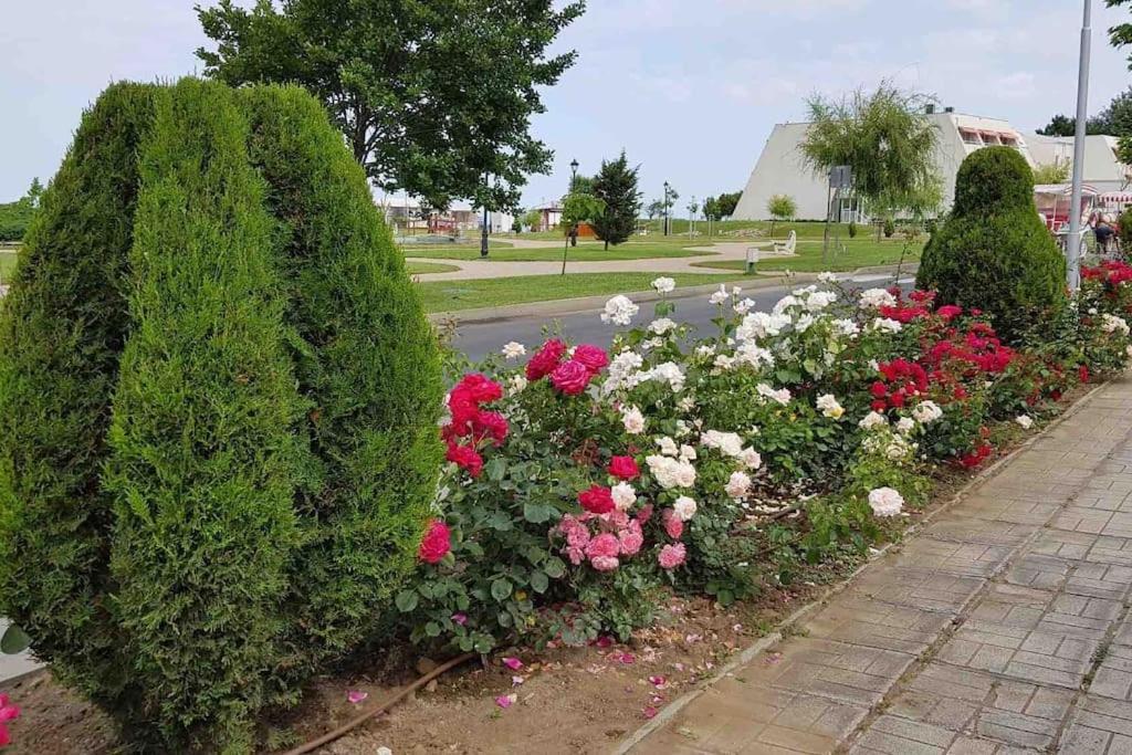Апартамент Ели Obzor Esterno foto
